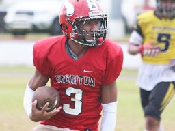 Chris Olo of the Vikings 