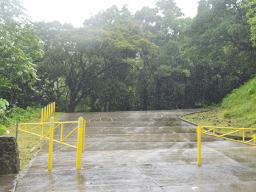 Gate at road going up Mt. Alava