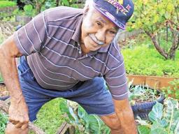 Fa’aleagaina Malo in his garden