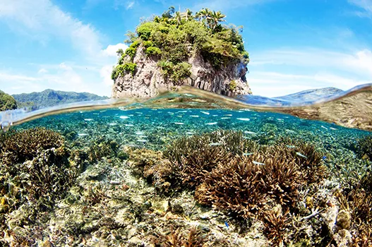 Fatu ma Futi above and below the water line.
