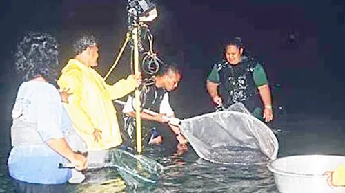 Palolo hunters in the sea with nets and flashlights