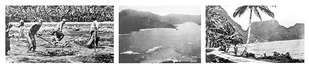 Marine biologist Alfred Mayor’s 1917 photos