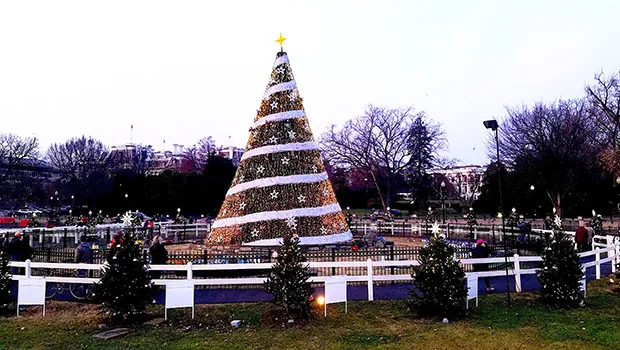 File photo of National Christmas Tree from past year.