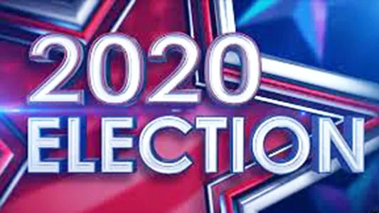 2020 Election banner