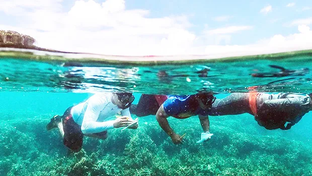 Marine Science students underwater examining reef