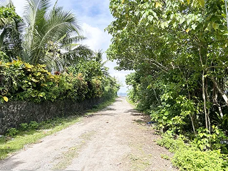 location where flight Pan Am flight 806 crashed