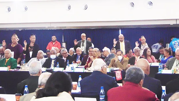 New delegates (standing)