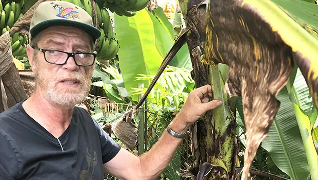 Dr. Casper Vanderwoude of the University of Hawaii's Ant Lab 