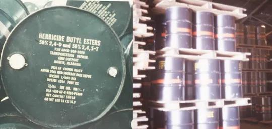 Photos of drums of Agent Orange marked with destination information and an orange band included in a Government Accountability Office report released Nov. 15, 2018.