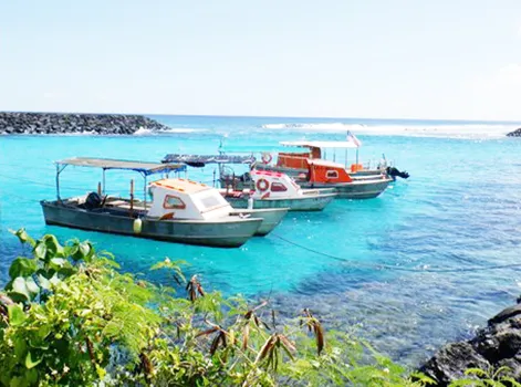 Three alia boats tethered to shore