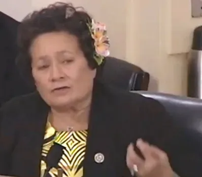  Rep. Amata questioning expert witness