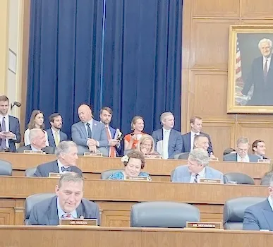 Amata in committee