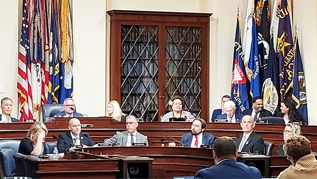 Vice Chairman Amata in Veterans Committee