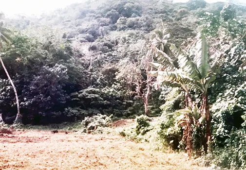 Historical photo of previous rifle range that was closed in 1997