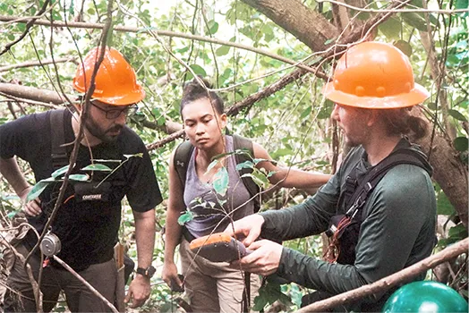 USFS staffer Patrick Baird, ASCC-ACNR Forestry Intern Cher Nomura, and USFS Staff Jonathan Marshall 