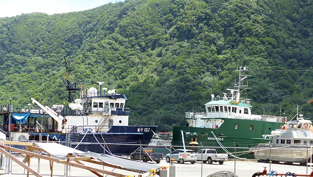 MV Sili and MV Manuatele II docked Wednesday along side the main Pago Harbor 