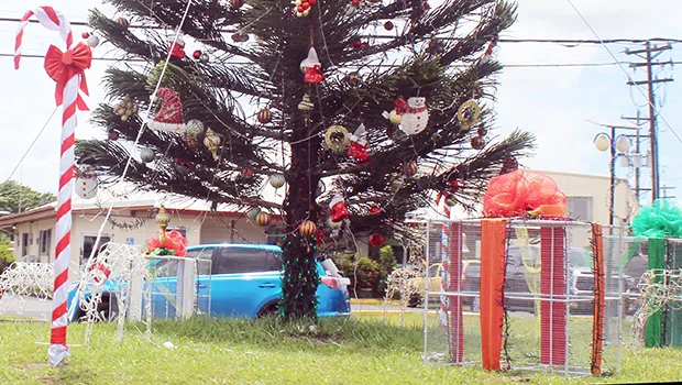 ASPA Christmas tree on the Airport road