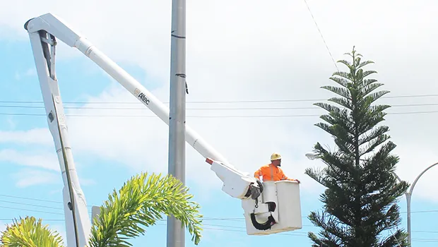 Man in bucket of bucket truck decorating huge xmas tree