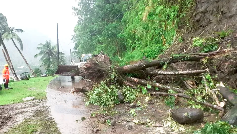 Backhoe clearing large tree that fell across the road