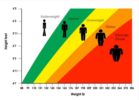 BMI graphic