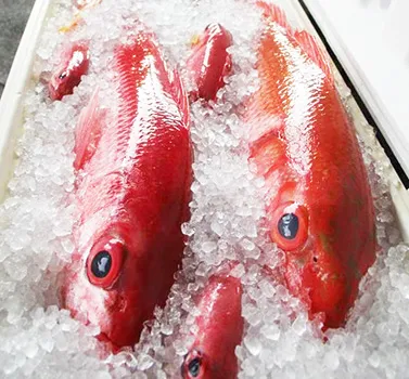 bottomfish on ice