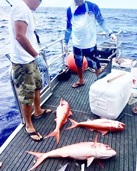 Two men looking at bottom fish on board a boat