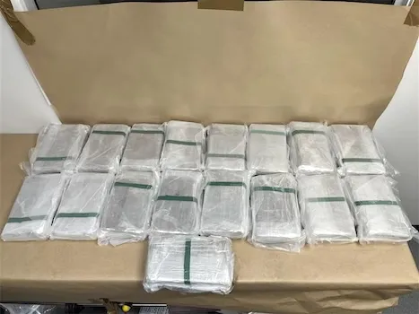 COCAINE FOUND ON HAWAIIAN AIRLINES FLIGHT