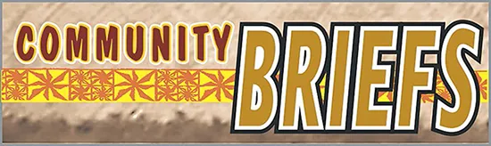 COMMUNITY BRIEFS LOGO