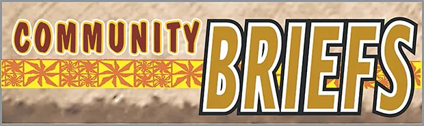 COMMUNITY NEWS BRIEFS LOGO