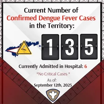 DEBGUE FEVER COUNT