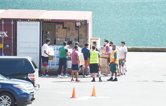 Port workers and Customs officers inspect a mixed cargo container.