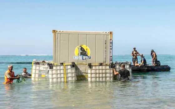 CONTAINERS BEING SALVAGED