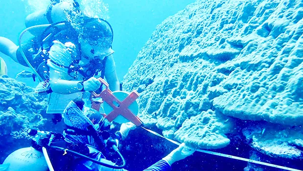 Coral Reef Advisory Group divers