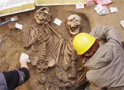 Two skeletons beind excavated