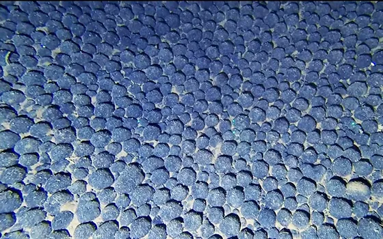 deep sea nodule field