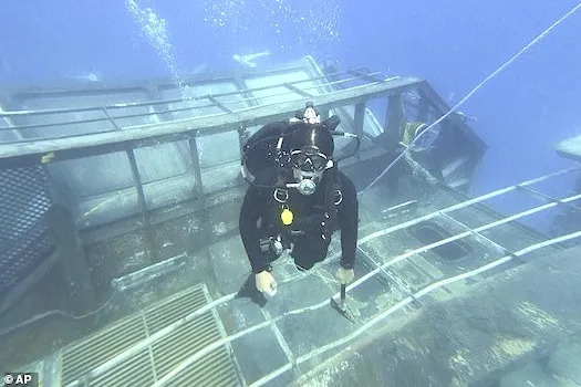 Diver on sunken ship