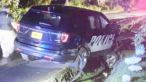 Police unit in ditch