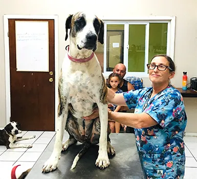 Dr. Melissa Shaw and a very large dog