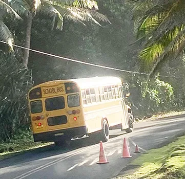 Bus on road in Alega