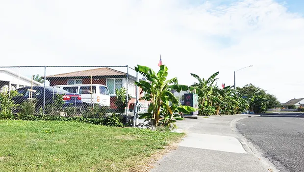Matamata's Hastings home