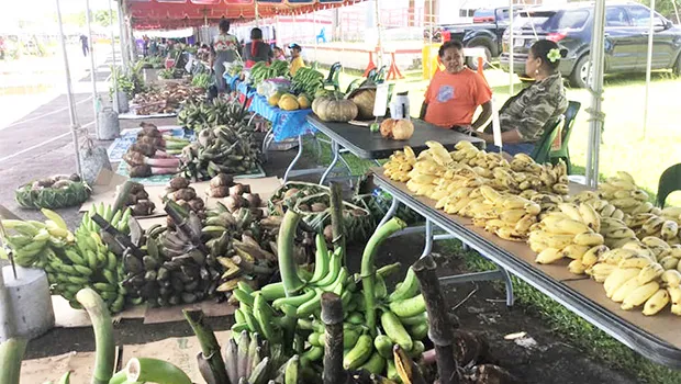 One of the booths at the 2021 Flag Day Farm Fair