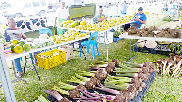 Sellers at the 2022 farm fair