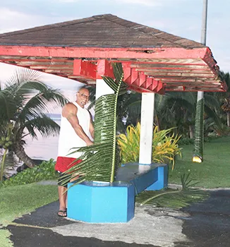 Flag Day decorations 2020
