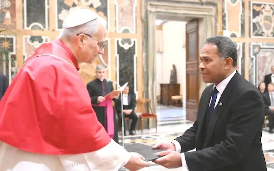 Ambassador Jovilisi Suveinakama with Pope Leo