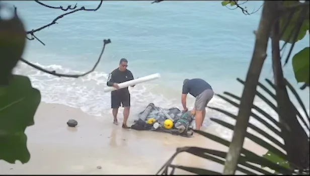 FISH AGGREGATING DEVICE