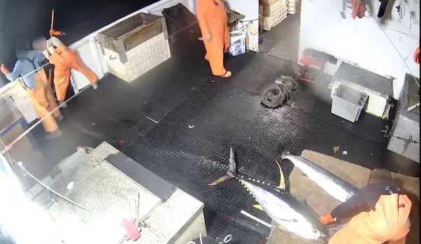 camera shot from an electronic monitoring system