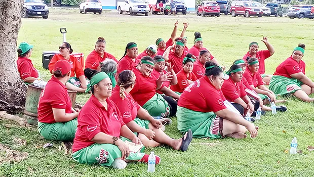Flag Day cricket team