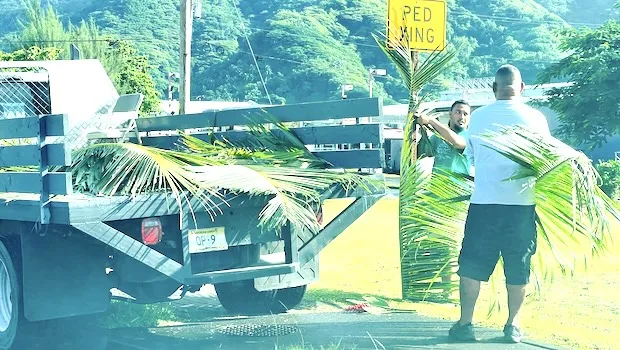 Decorating for Flag Day