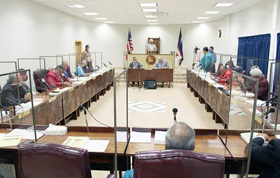 The House of Representatives in session