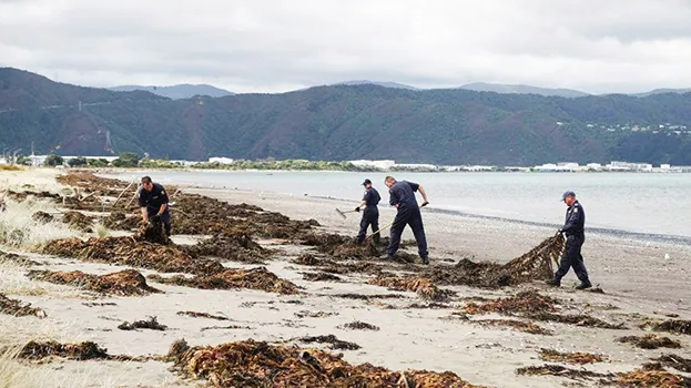 Police searching on beach 